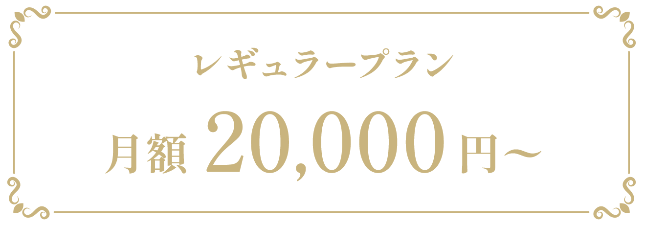 レギュラープラン 月額20,000円〜